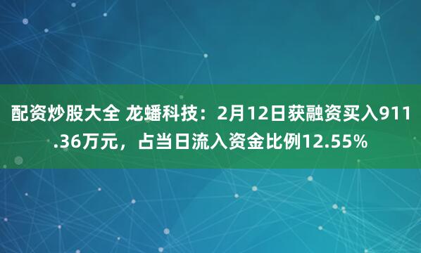 配资炒股大全 龙蟠科技：2月12日获融资买入911.36万元，占当日流入资金比例12.55%