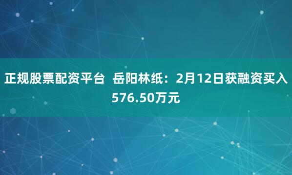 正规股票配资平台  岳阳林纸：2月12日获融资买入576.50万元