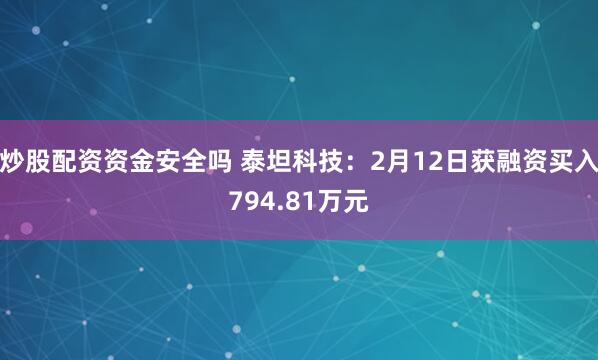 炒股配资资金安全吗 泰坦科技：2月12日获融资买入794.81万元