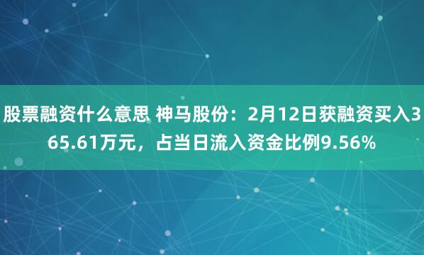 股票融资什么意思 神马股份：2月12日获融资买入365.61万元，占当日流入资金比例9.56%