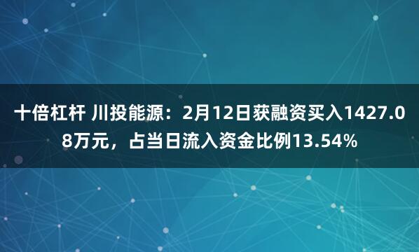 十倍杠杆 川投能源：2月12日获融资买入1427.08万元，占当日流入资金比例13.54%