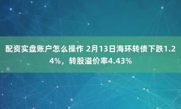 配资实盘账户怎么操作 2月13日海环转债下跌1.24%，转股溢价率4.43%