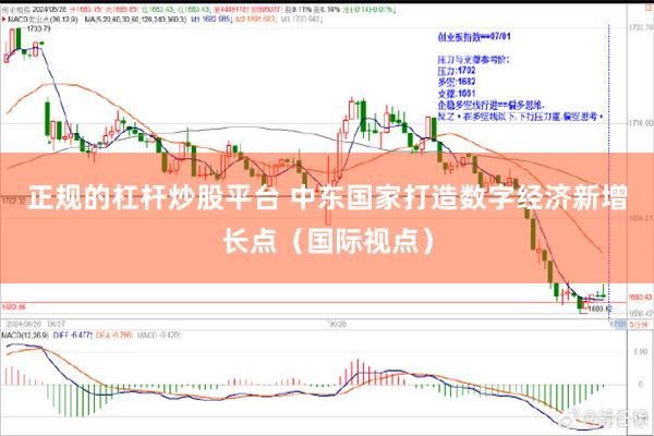 正规的杠杆炒股平台 中东国家打造数字经济新增长点（国际视点）