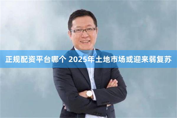 正规配资平台哪个 2025年土地市场或迎来弱复苏