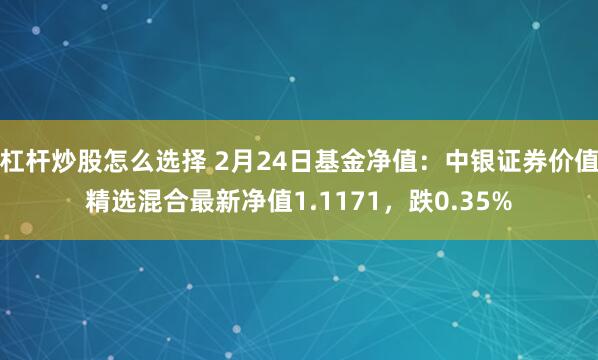 杠杆炒股怎么选择 2月24日基金净值：中银证券价值精选混合最新净值1.1171，跌0.35%