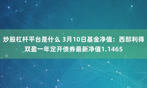 炒股杠杆平台是什么 3月10日基金净值：西部利得双盈一年定开债券最新净值1.1465