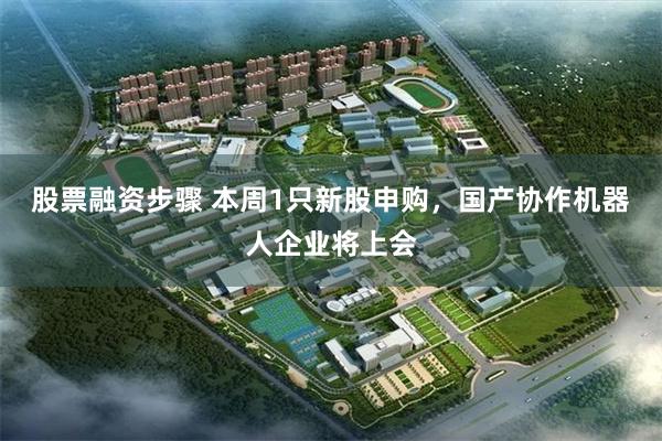 股票融资步骤 本周1只新股申购，国产协作机器人企业将上会