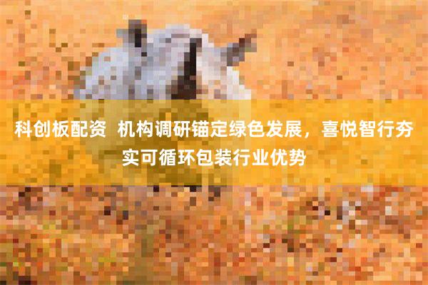 科创板配资  机构调研锚定绿色发展，喜悦智行夯实可循环包装行业优势